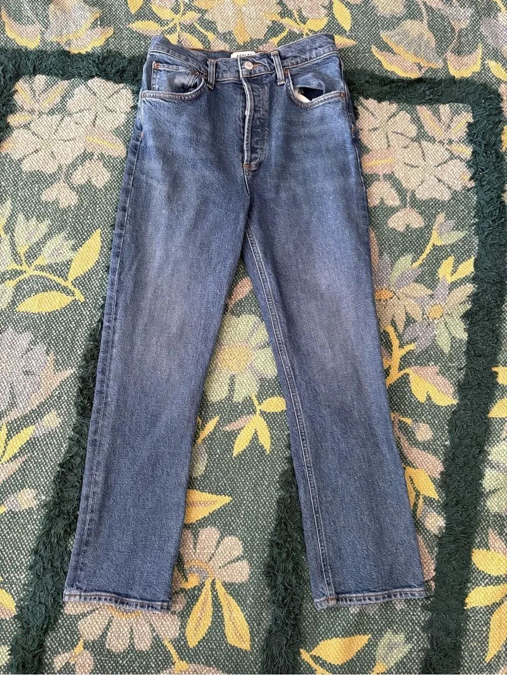NWOT Agolde RILEY HIGH RISE STRAIGHT size 27